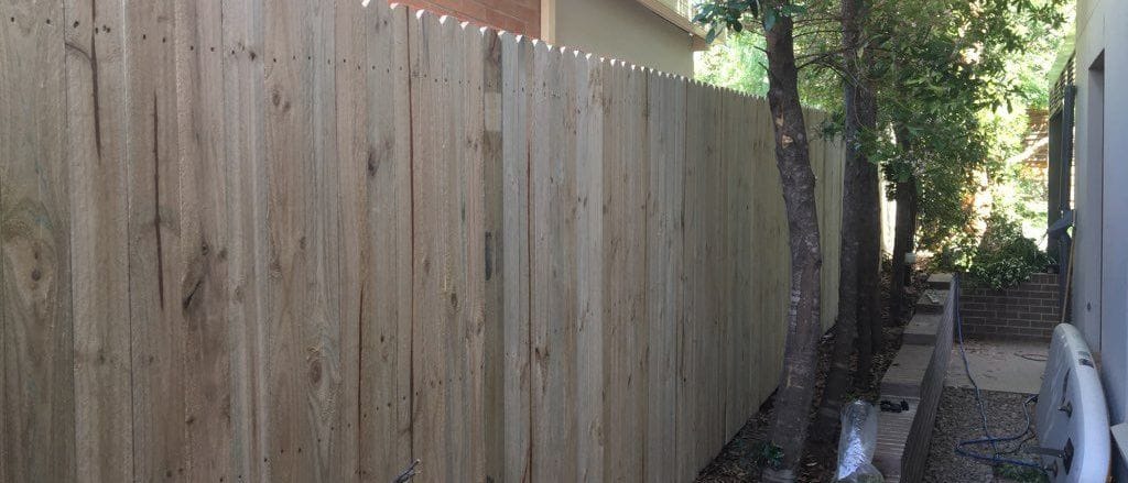 Single paling timber fence with shaped paling tops running beside a gravel path at a Sydney property
