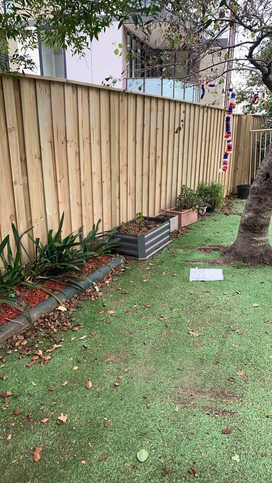 Treated pine timber fence bordering a low maintenance yard with artificial turf at a Sydney home